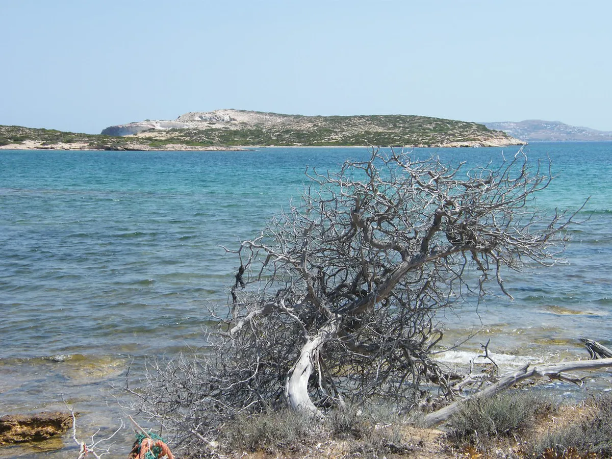 Antiparos Party Events 2025: Your Ultimate Guide
