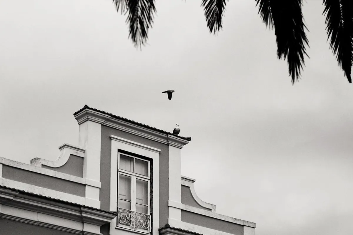 Discover Aveiro's Best Rooftop Bars in 2025: Elevated Views