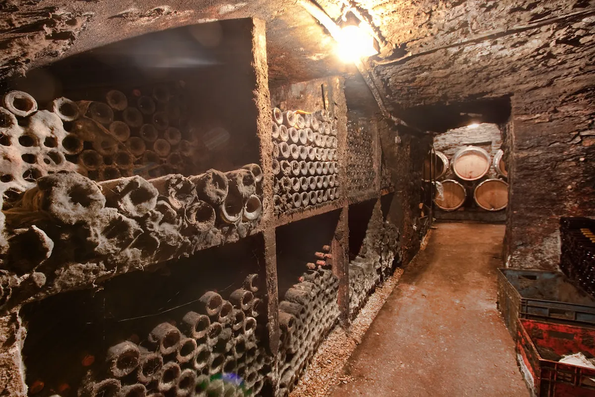 Beaune Where to Drink: Top Wine Bars & Nightlife in 2025