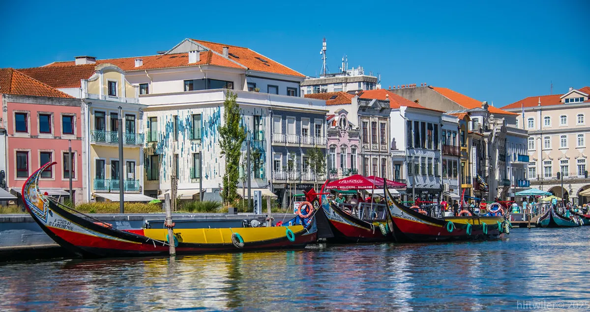 Discover Braga's Best Bars: Ultimate Guide for 2025 Nightlife