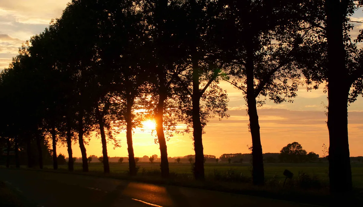 Best Bars Leeuwarden: Top Spots for a Night Out in 2025