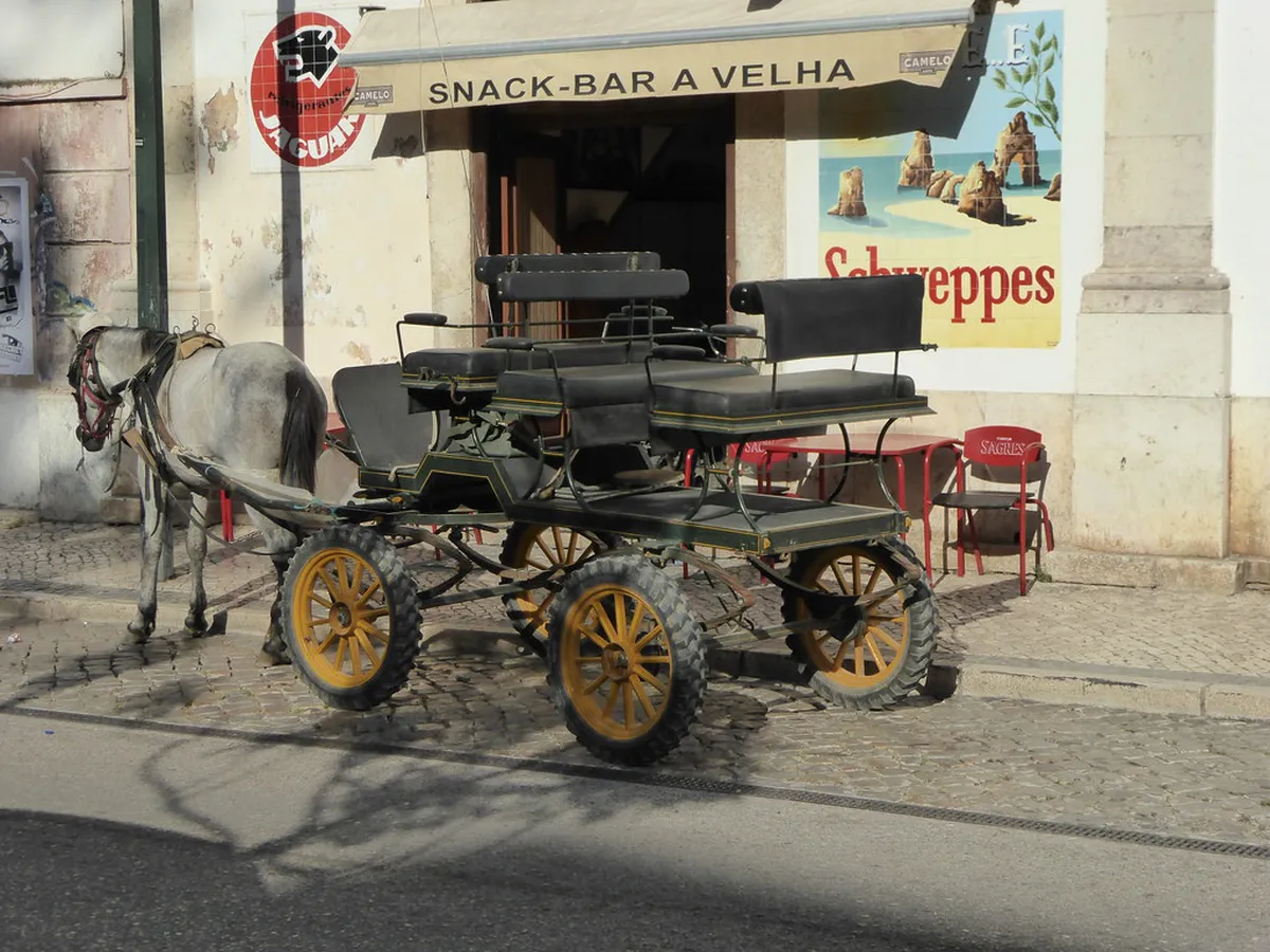 Best Bars Sagres Portugal: Your Ultimate 2025 Nightlife Guide