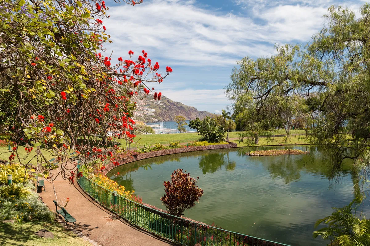 Discover the Best Funchal Party Areas for an Unforgettable Night