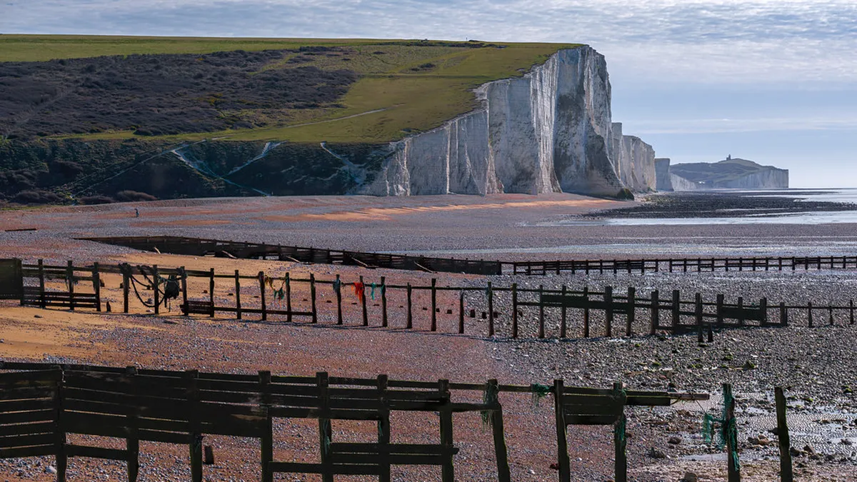 Brighton Late Night Transport: Your 2025 Travel Guide