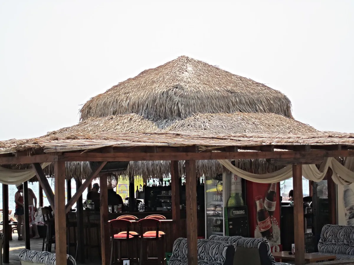 Best Burgas Bar Crawl Tips for an Epic Night Out