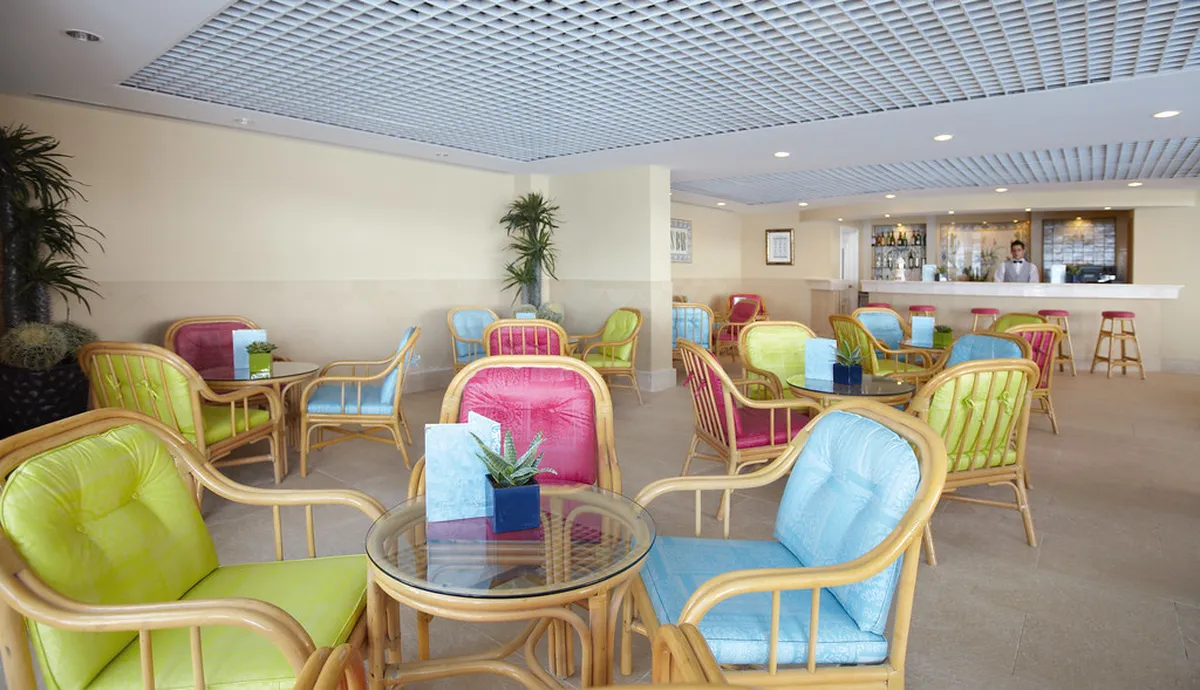 Funchal's Best Bars 2025: Top Spots for Nightlife Fun