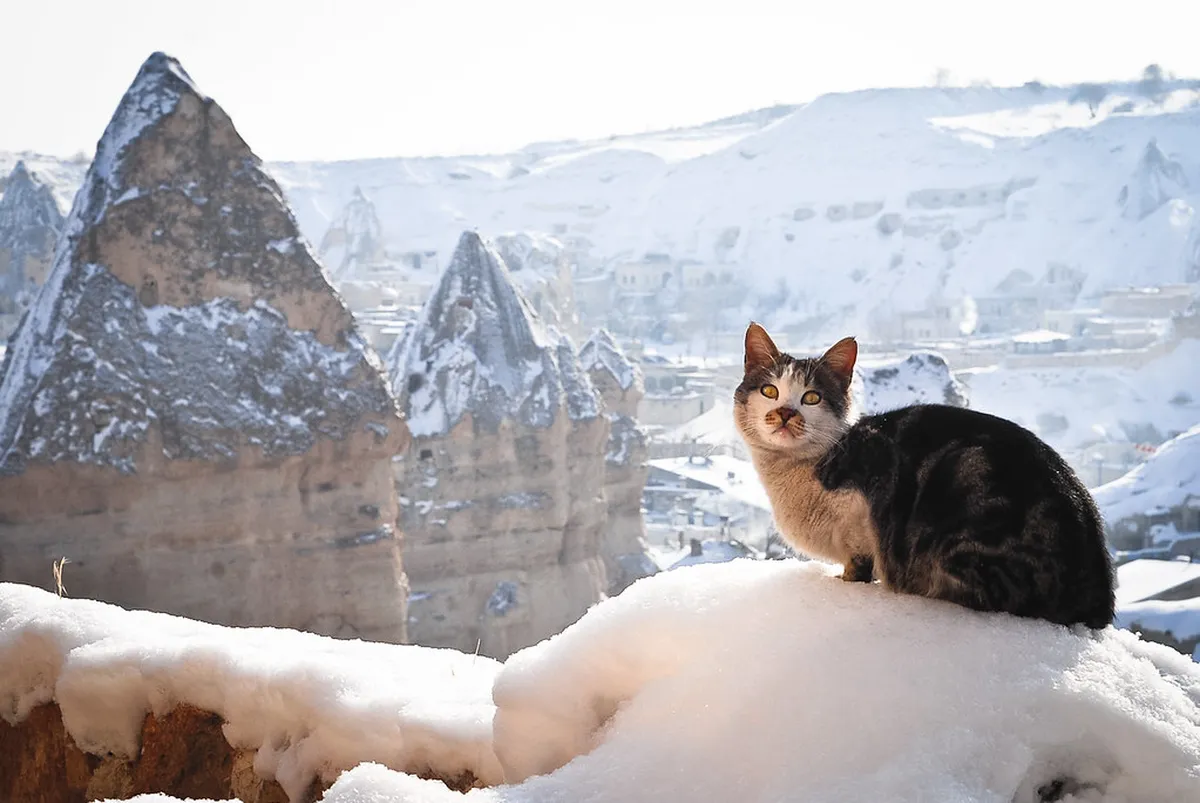 Göreme Live Music Venues: Best Nightlife Spots 2025