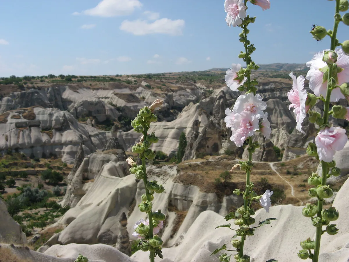 Göreme Nightlife Safety: A Guide for Secure Evenings