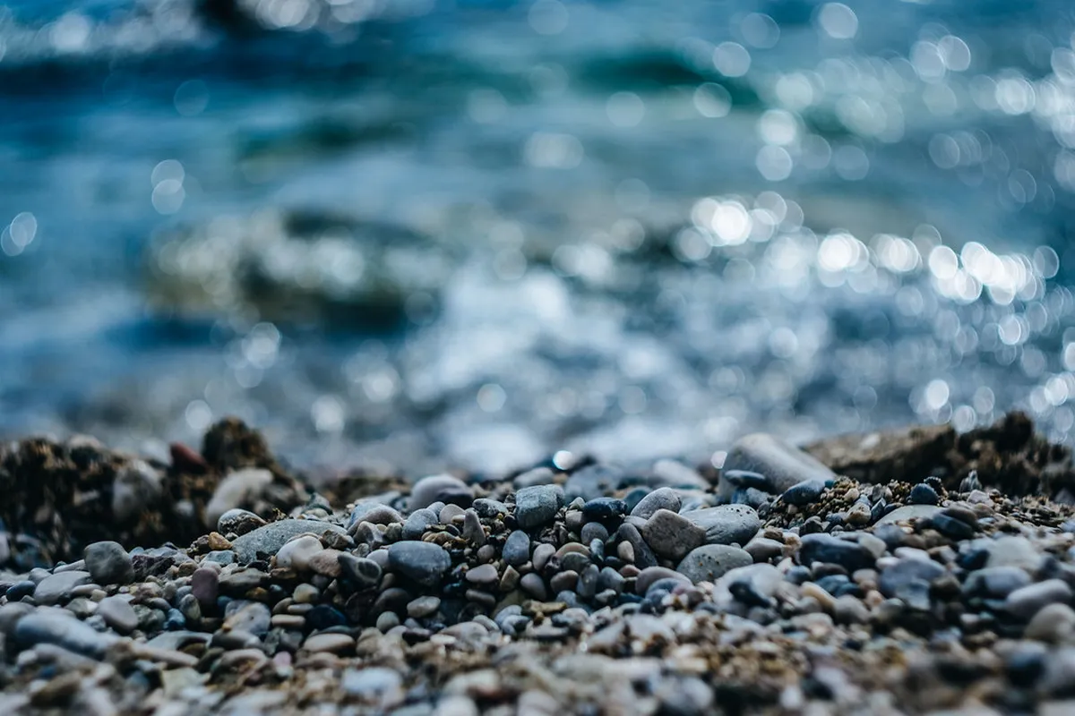 Herceg Novi Beach Parties: Your 2025 Party Guide