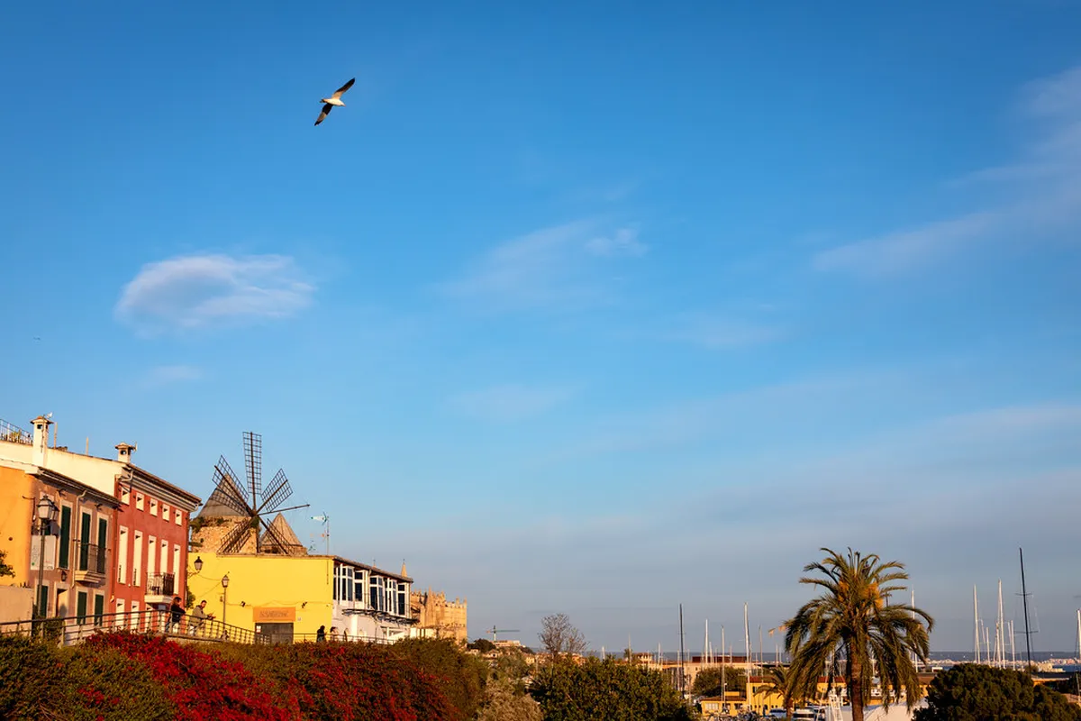 Palma de Mallorca Nightlife: Your 2025 Ultimate Guide