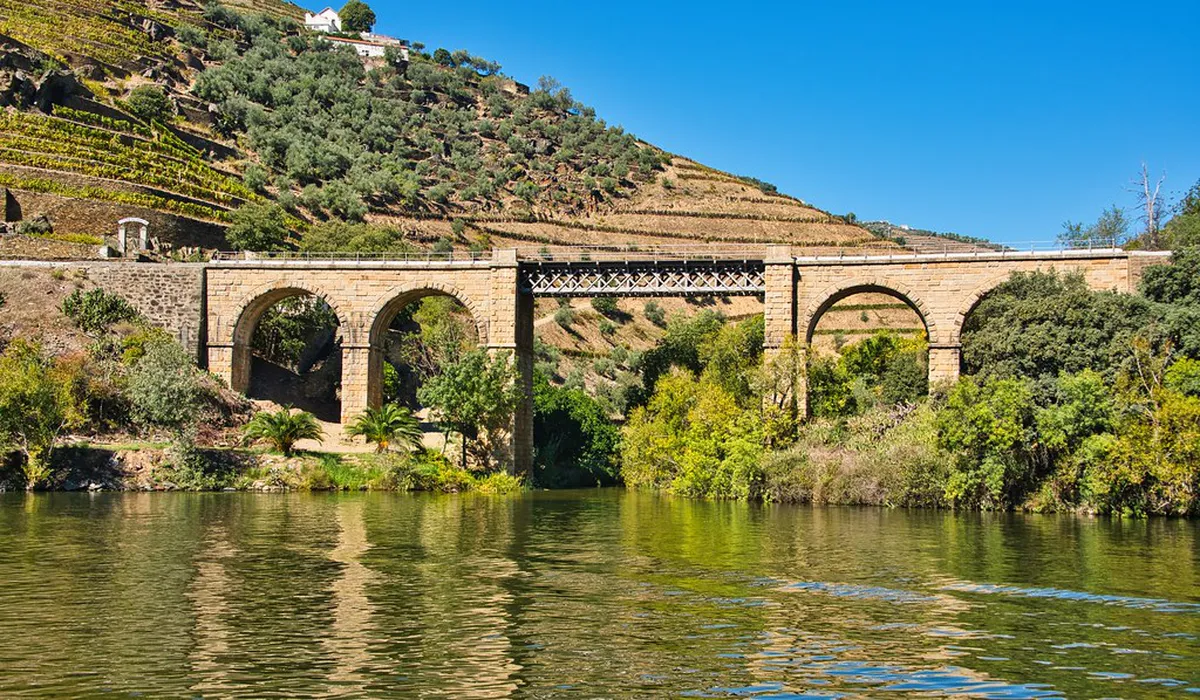 Guide to Pinhão Drinks Prices for 2025 Budgeting