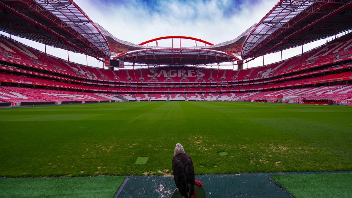 Sagres Clubs Opening Hours 2025: Your Ultimate Nightlife Guide