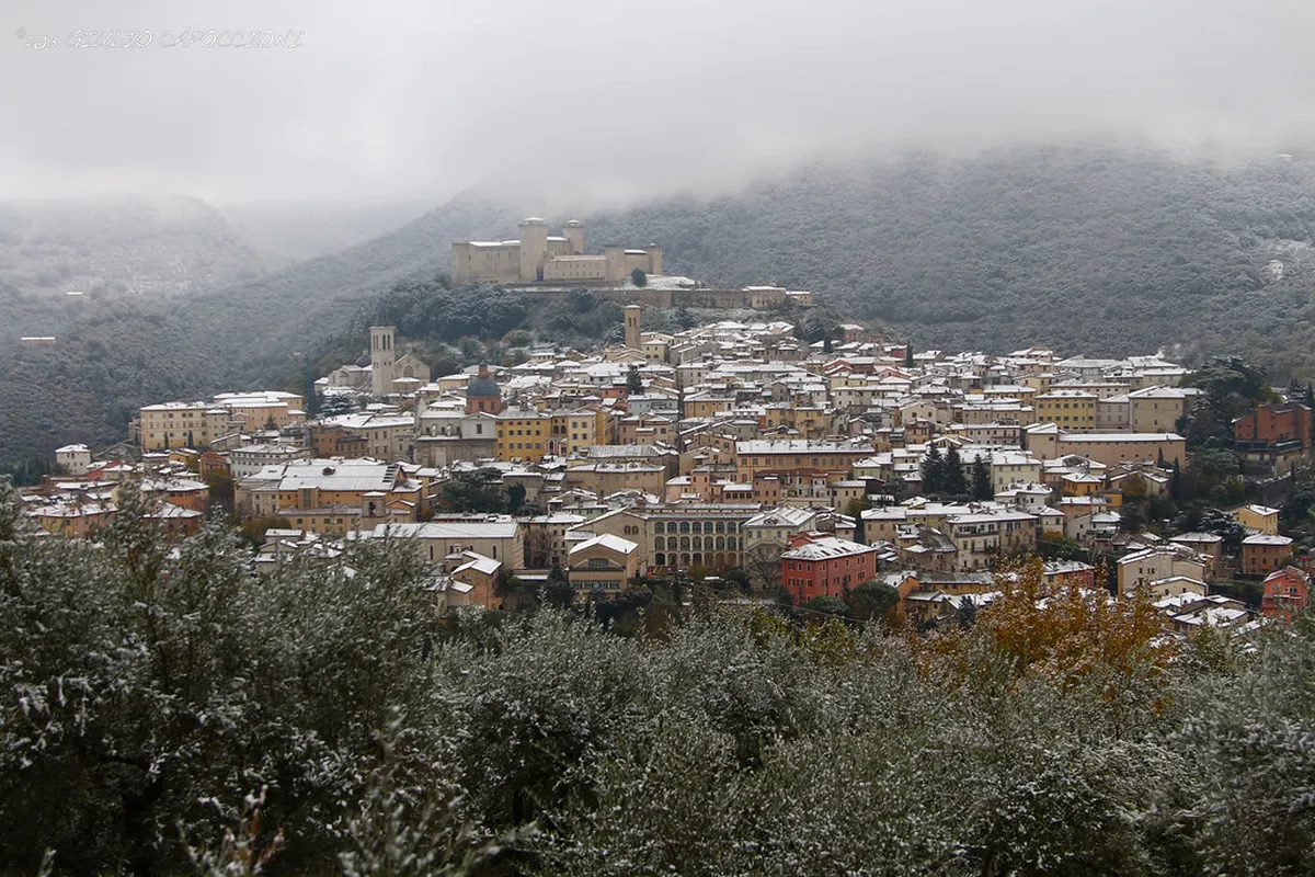 Best Spoleto Pubs and Clubs: Your Guide to Nightlife 2025