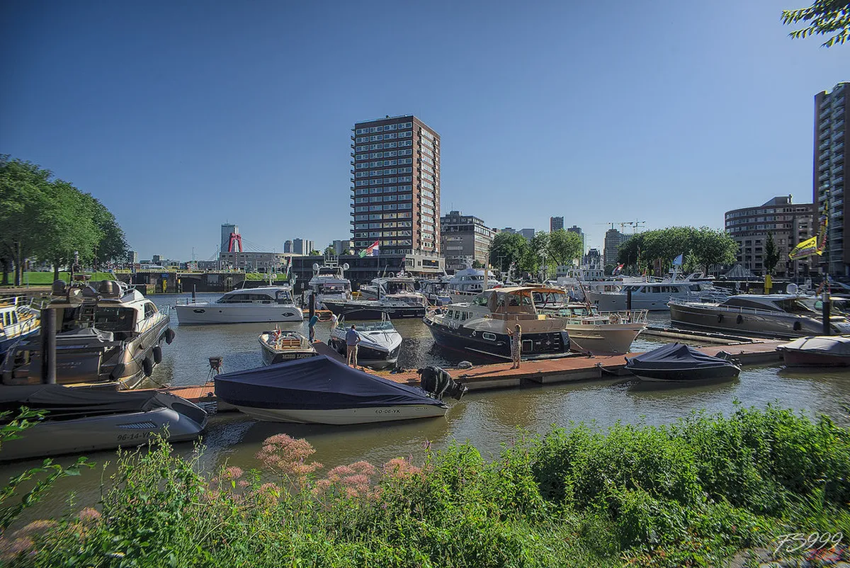 Top Clubs in Rotterdam 2025: Ultimate Nightlife Guide