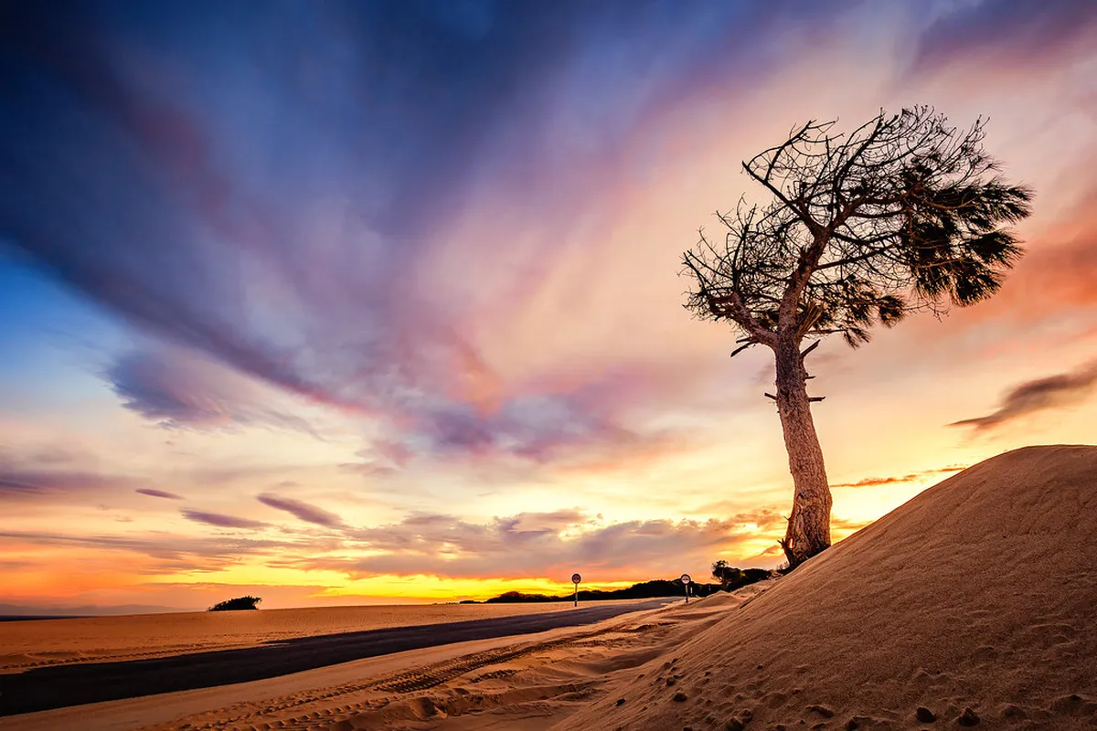 Best Tarifa Nightclubs 2025: Party Guide & Top Spots