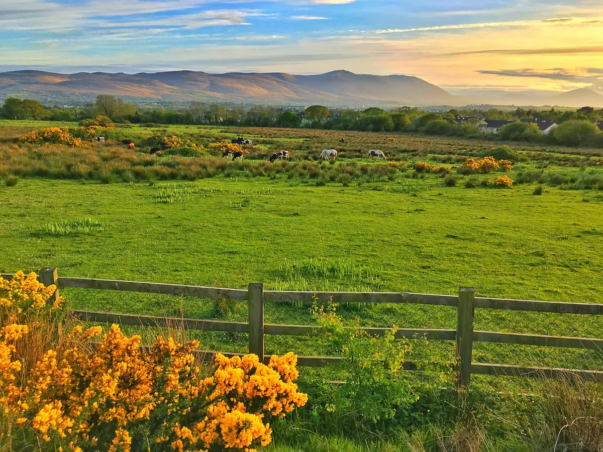 Tralee Nightlife Safety Tips for a Secure 2025 Experience