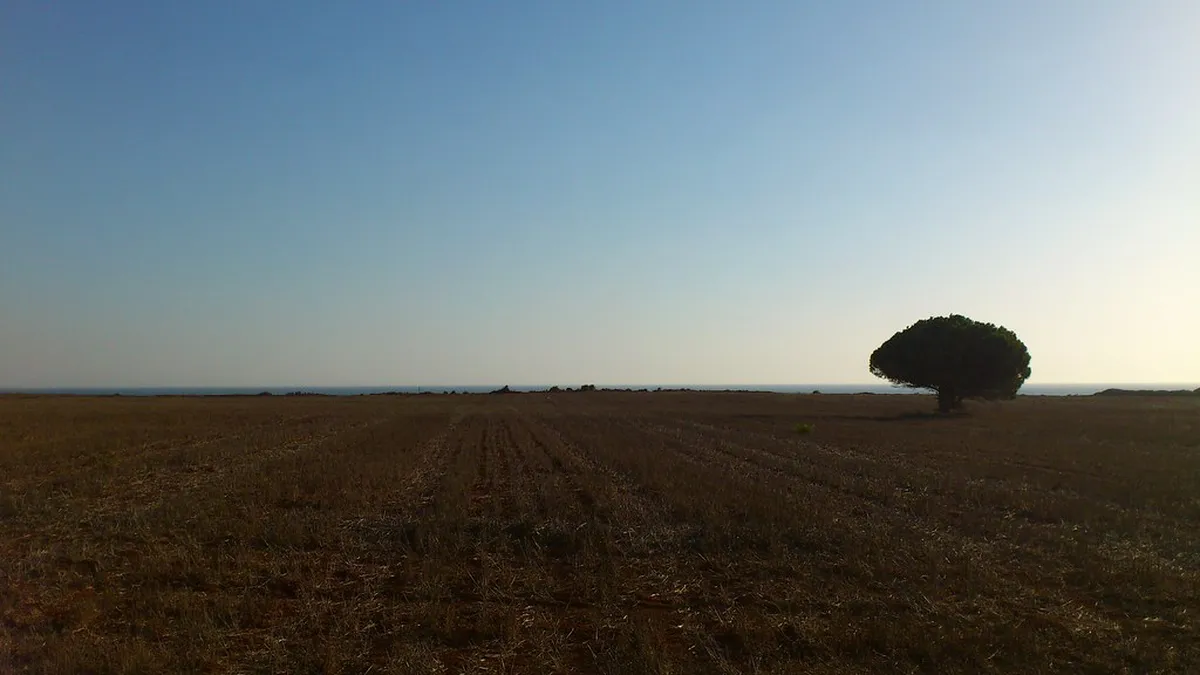 Vejer de la Frontera Nightlife: Top Local Spots & Experiences in 2025