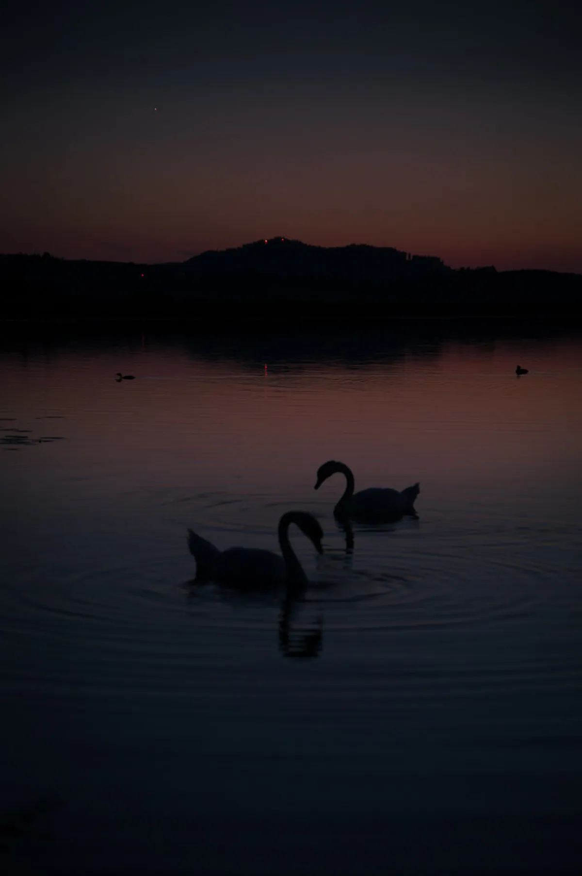 Discover Where to Dance in Füssen: Your 2025 Nightlife Guide