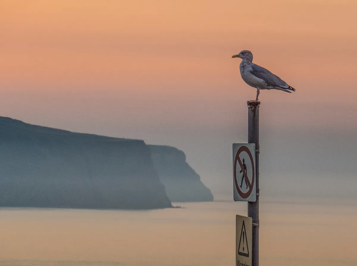 Whitby Late-Night Food: Your 2025 Guide to Evening Dining