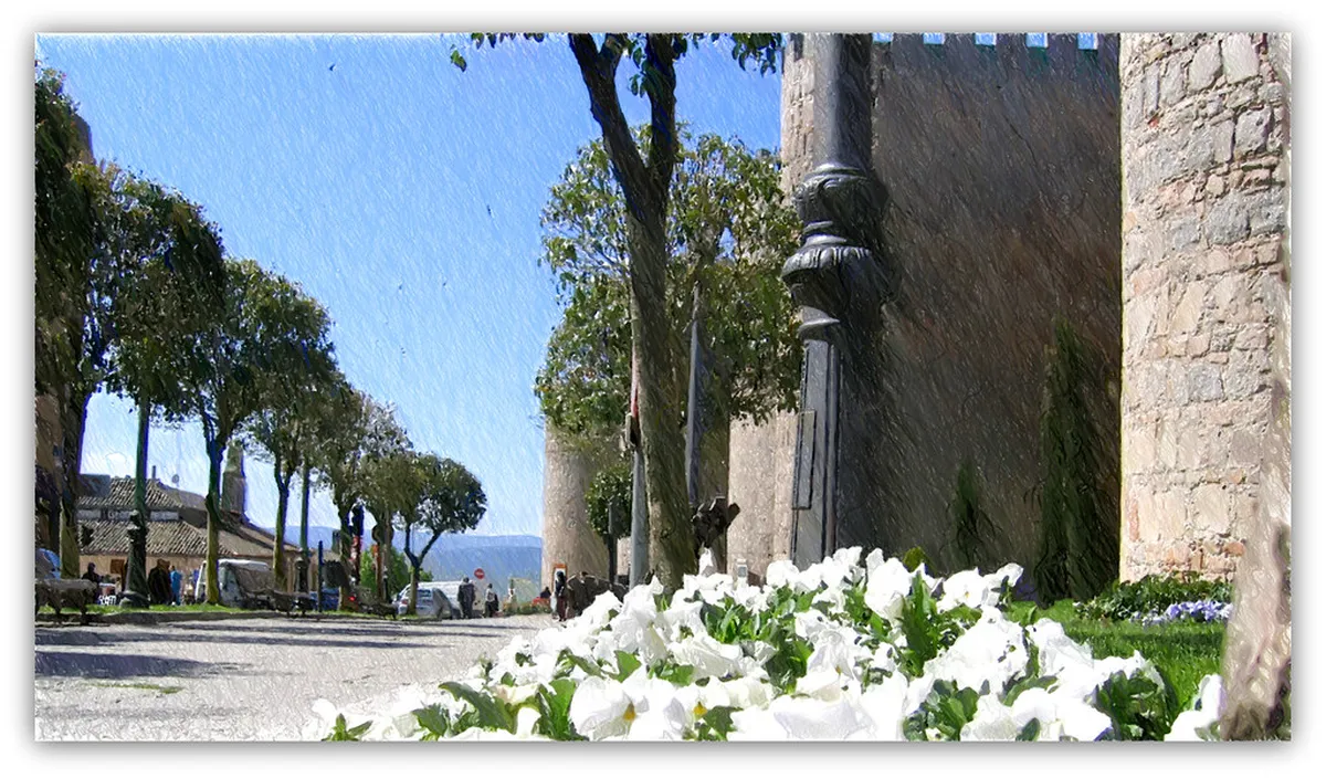 Discover Ávila's Nightlife: Bars, Clubs & Fun in 2025